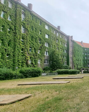 Klimaanpassung: Stadtgrün-Fassadenbegrünung